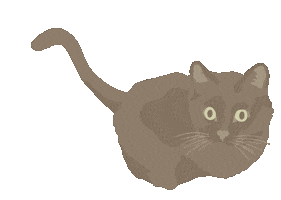 Black Cat Sticker