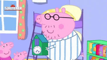 reception  GIF