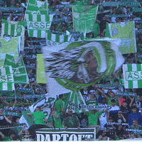 Angels Supporter GIF by AS Saint-Étienne
