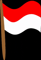 Flag Indonesia GIF