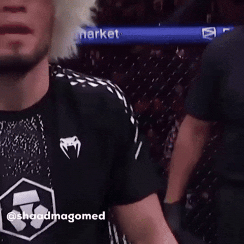 Khabib Nurmagomedov Georgia GIF