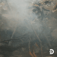 Naked And Afraid Panic GIF by Discovery