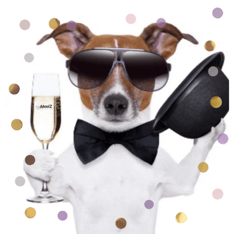 Pohyblivý obrázek s pejskem, držícím sklenku šampaňského a obléknutého v motýlku, klobouku a slunečních brýlích. 