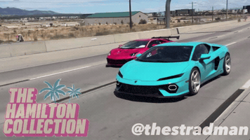 Svj GIF by TheHamiltonCollection
