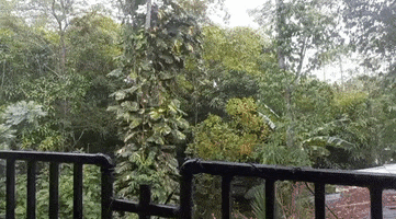 Arteduro GIF