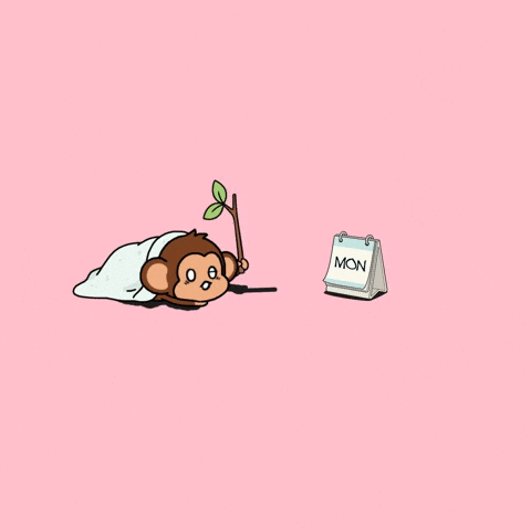 Good Morning Monday GIF