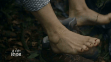 france-3 #france3tv GIF