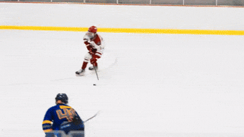 IupHockey GIF