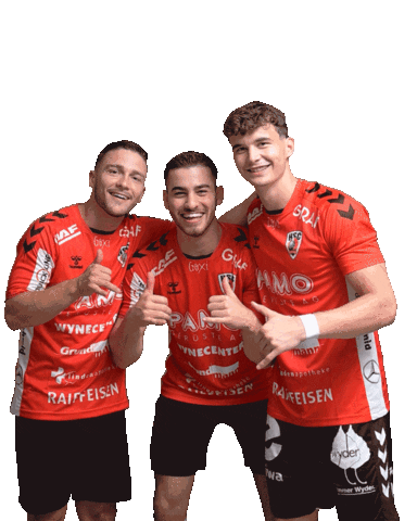 Handball Aargau Sticker by HSC Suhr Aarau