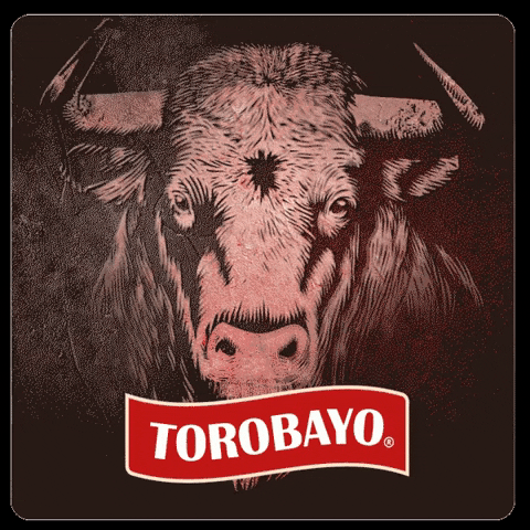 Toro Nueva GIF by Cerveza Kunstmann