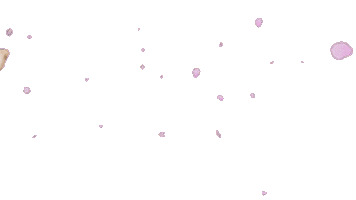 정관장레드스파크스 Sticker by REDSPARKS