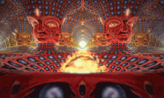 Trip GIF