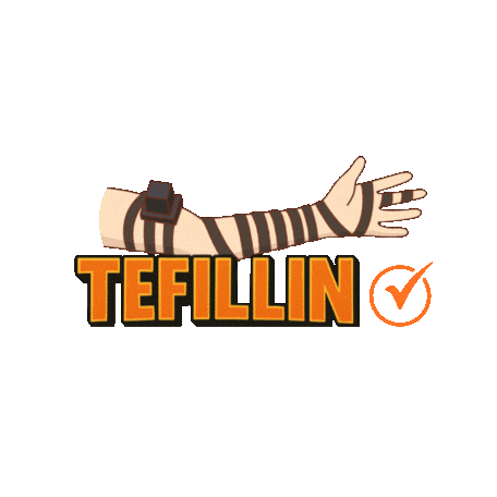 Chabad Sruly Productions Sticker by srulymeyer