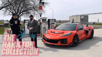 Zr1X GIF by TheHamiltonCollection