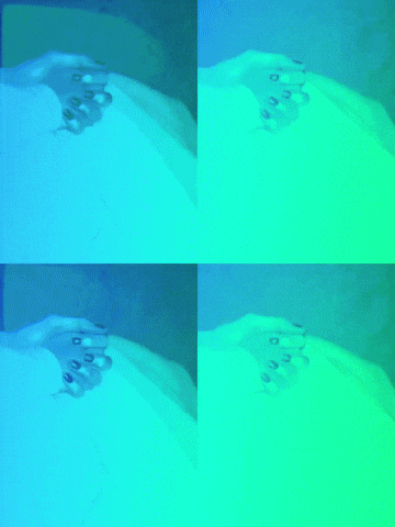 True Love GIF