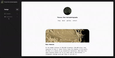 Wordpress GIF