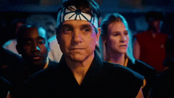 Cobra Kai GIF