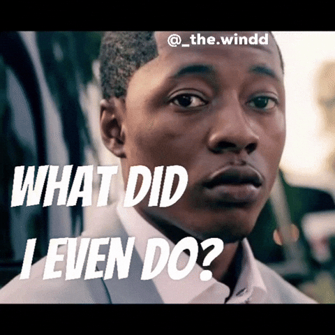 What Did I Do GIF