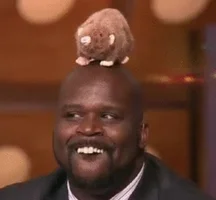 https://media1.giphy.com/media/Fcg7A52mzkCre/200.webp#100-grid1