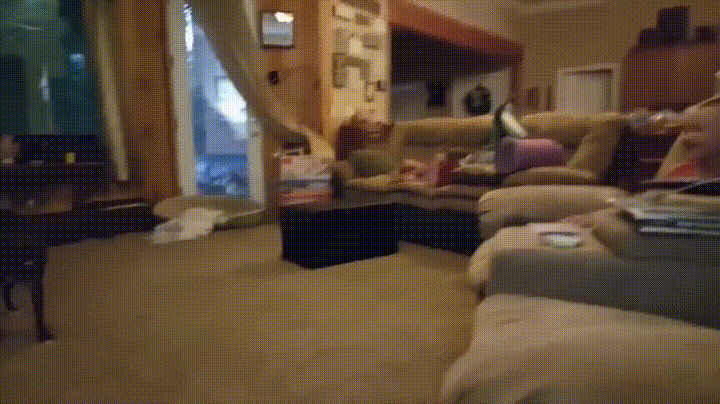 tornado identifies GIF