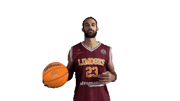 Limoges CSP Sticker