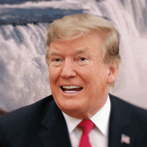 Donald Trump Smile GIF