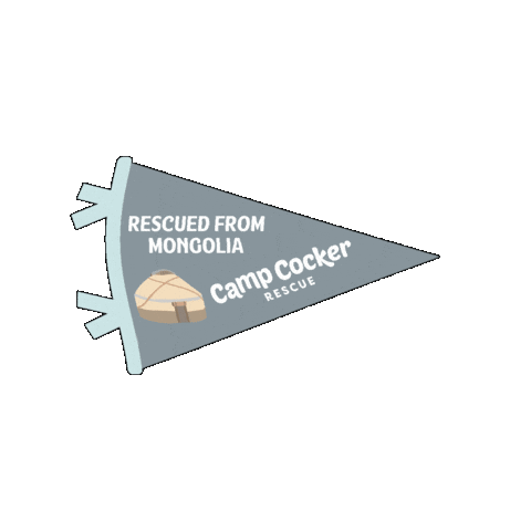 Campcocker2025 Sticker by Camp Cocker Rescue