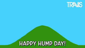 Video gif. Illustrated scene of a blue sky with a green hill in the foreground, as the sun rises from the center. The face of Neil Primrose from the band Travis is inside the sun, like the sun on the Teletubbies. Text, "Happy Hump Day!"