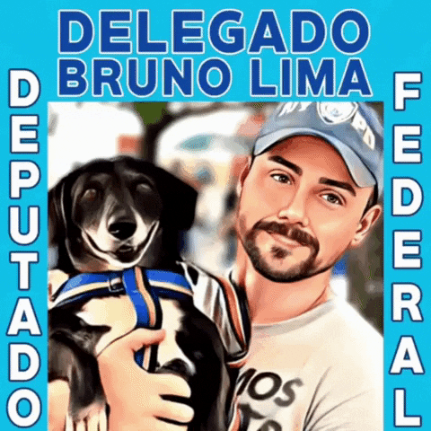 Deputado Federal Vote1111 GIF by Delegado Bruno Lima