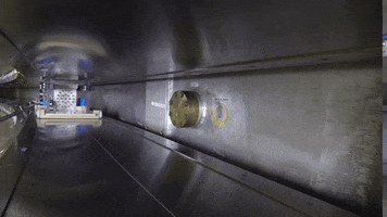Particle Physics GIF by Fermilab