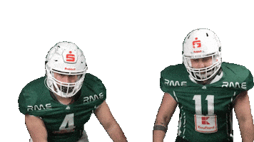 Unicornsfootball Sticker by Schwäbisch Hall Unicorns