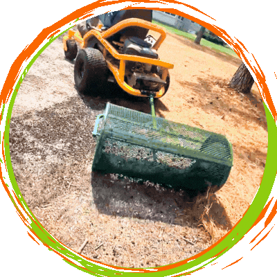 Landzie Sticker by Joe