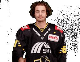 Del2 Seidenstadt Sticker by Krefeld Pinguine
