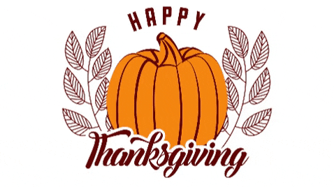 Happy Thanksgiving Day Gifs Get The Best Gif On Giphy