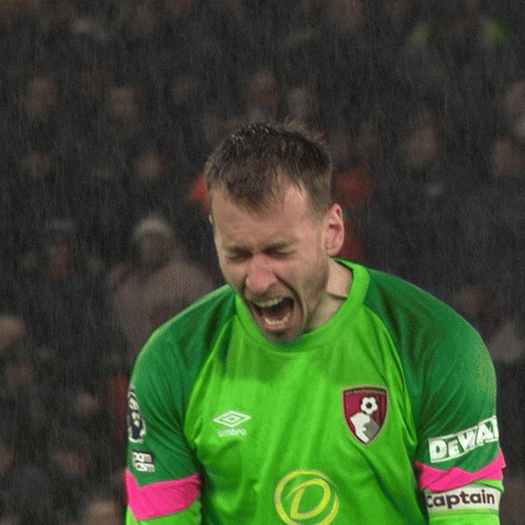 Premier League Love GIF by AFC Bournemouth