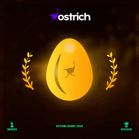 Nft Egg GIF by Ostrich App