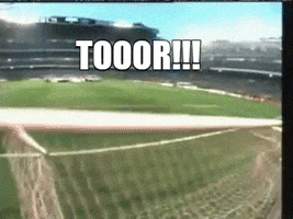 R.SA Sachsen GIF