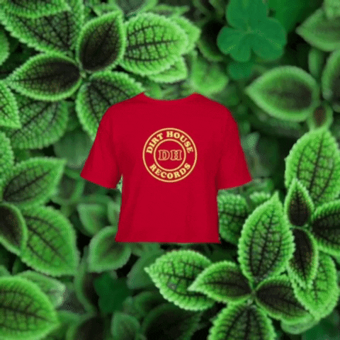 Dirt_house Records GIF