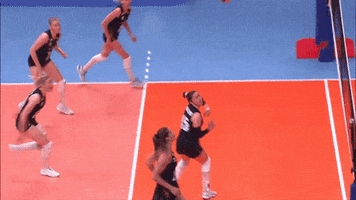 Lets Go Sport GIF by Volleyball World