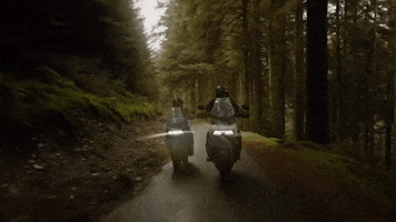 Friends Adventure GIF by Harley-Davidson