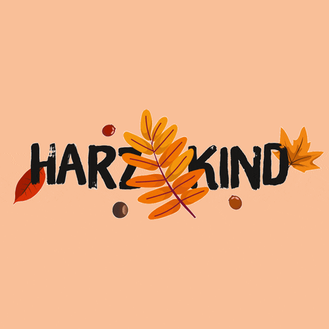 Home Autumn GIF by HARZKIND