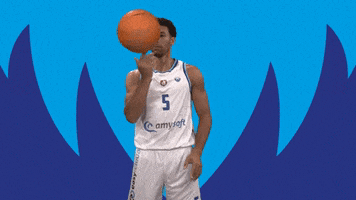 Donar Groningen Leon GIF by Donar Official