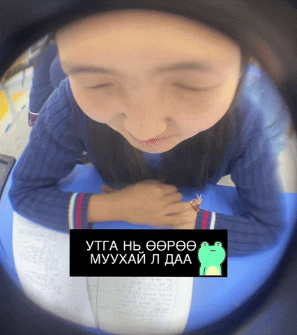 Mongolia Mongol Meme GIF