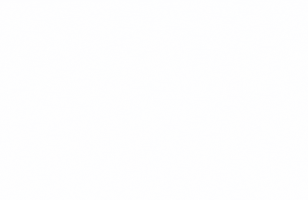GRUPO FOKUS GIF