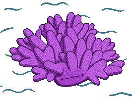 Sad Coral Sticker