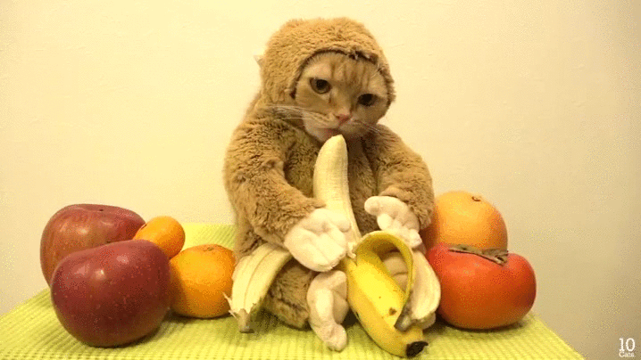 source.gif