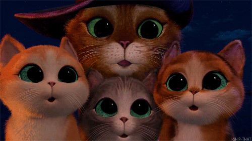 https://media1.giphy.com/media/Fmx9fBEJXrTuE/giphy.gif