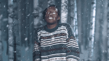 Shelem GIF