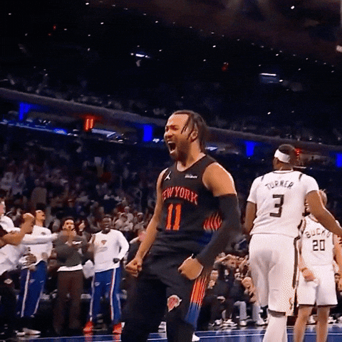 Lets Go Knicks GIF