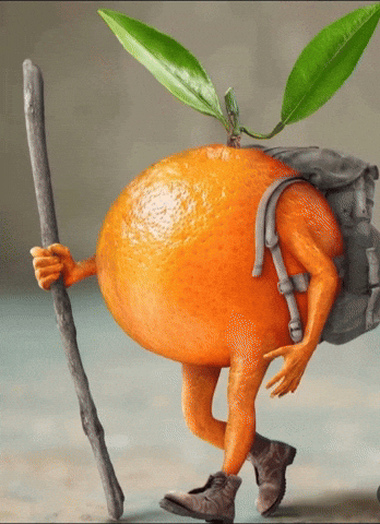 Orange GIF
